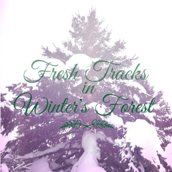 fresh-tracks-winter's-forest-francois-et-moi